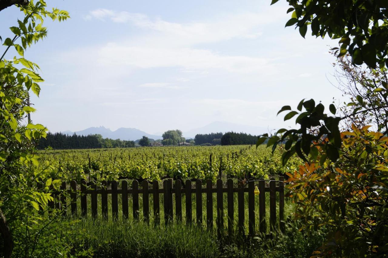 Mas Du Clos De L'Escarrat Jonquieres  Eksteriør billede